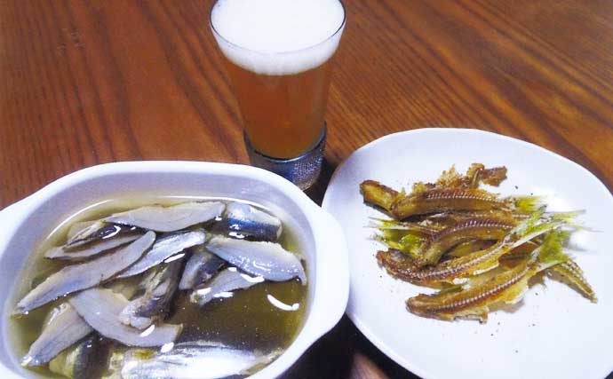 堤防サビキ釣りでイワシ・セイゴ・サッパと五目釣りを堪能【白塚漁港・三重】