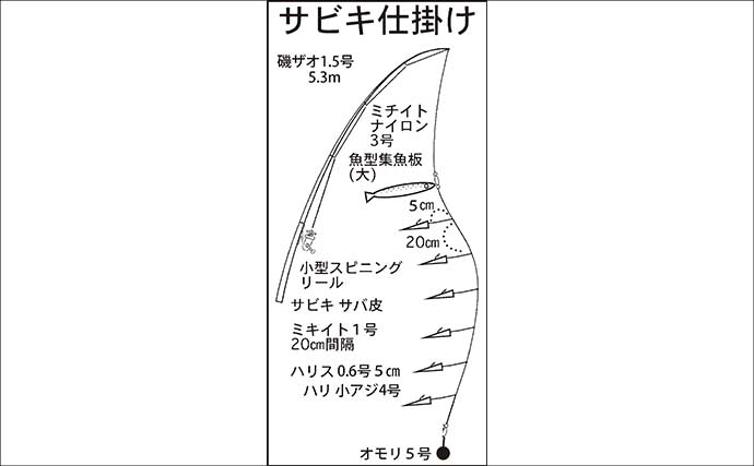 堤防サビキ釣りでイワシ・セイゴ・サッパと五目釣りを堪能【白塚漁港・三重】