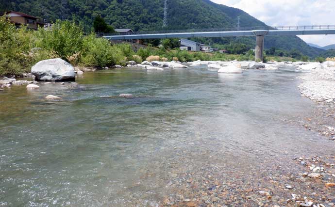 庄川でのアユ友釣りで22cm頭に26匹【岐阜】自作仕掛けでキャッチ成功！