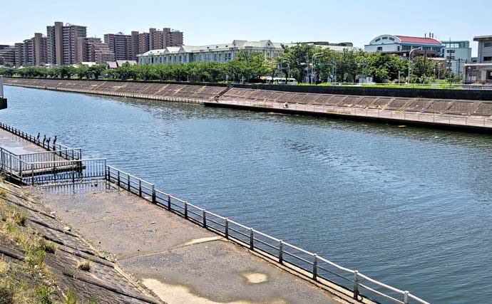 東京湾奥の人気釣り場でハゼ釣り堪能【千葉】10cm級交じりで56尾キャッチ！