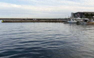 猛暑日連続で大阪湾沿岸釣り場はどうなってる？　釣果は潮通しの良し悪し次…