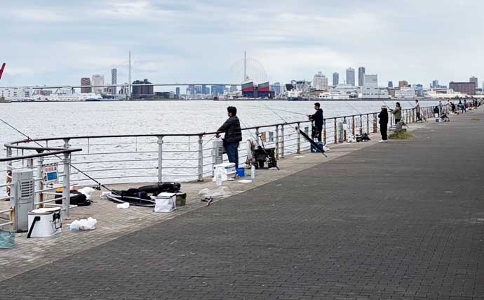 猛暑日連続で大阪湾沿岸釣り場はどうなってる？　釣果は潮通しの良し悪し次第