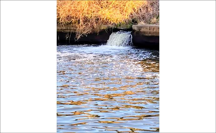 都市河川での釣りを愛するアングラーが考察　年々酷くなる河川の汚れに危機感を持とう