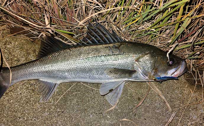 都市河川での釣りを愛するアングラーが考察　年々酷くなる河川の汚れに危機感を持とう