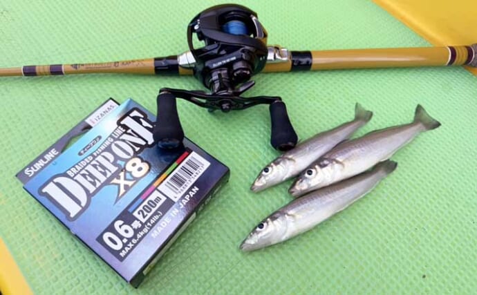 「投げずに船下狙いだけ」で東京湾の船シロギス釣りに挑戦【荒川屋】天秤仕掛けでキス約70匹！