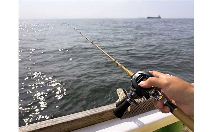 「投げずに船下狙いだけ」で東京湾の船シロギス釣りに挑戦【荒川屋】天秤仕掛けでキス約70匹！