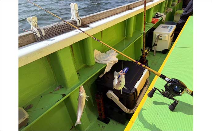 「投げずに船下狙いだけ」で東京湾の船シロギス釣りに挑戦【荒川屋】天秤仕掛けでキス約70匹！