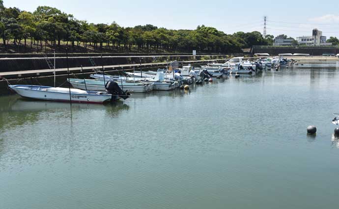 「ちょい投げハゼ釣り」を楽しもう！ 【タックル・仕掛け・エサ・釣り方を解説】