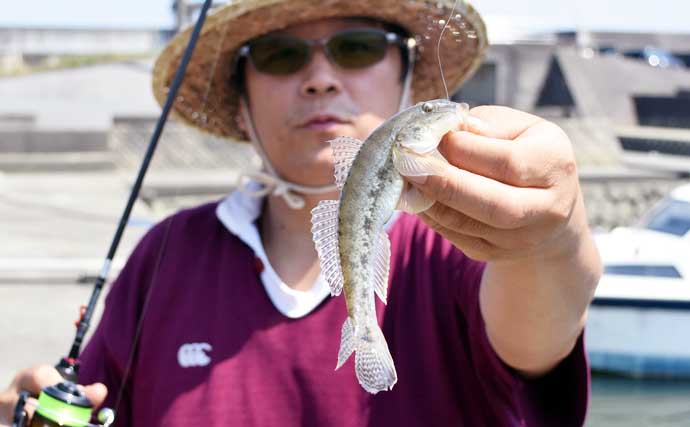 「ちょい投げハゼ釣り」を楽しもう！ 【タックル・仕掛け・エサ・釣り方を解説】