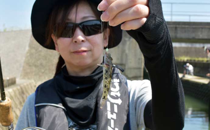 「ちょい投げハゼ釣り」を楽しもう！ 【タックル・仕掛け・エサ・釣り方を解説】