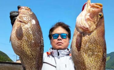 50cm超えオオモンハタ！スイミングでのロックゲームでGET【沖釣り釣…
