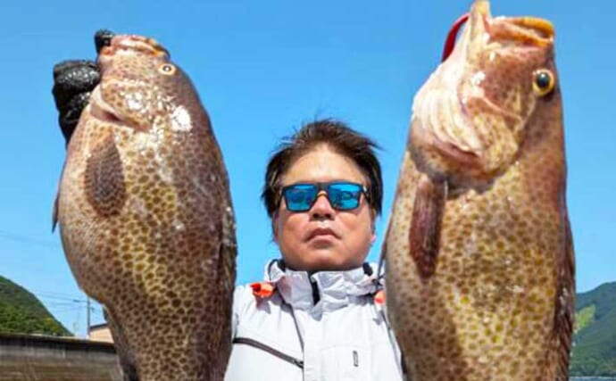 50cm超えオオモンハタ！スイミングでのロックゲームでGET【沖釣り釣果速報5選・三重】