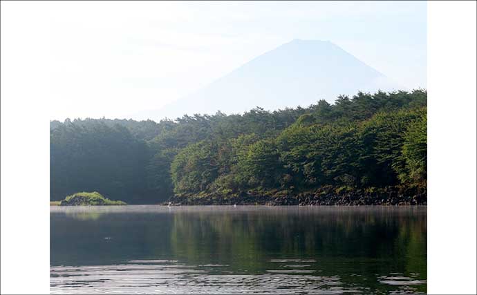 今週のヘラブナ「ピックアップ」釣り場2026【山梨・精進湖】