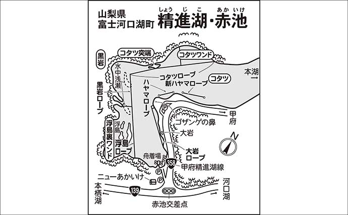 今週のヘラブナ「ピックアップ」釣り場2026【山梨・精進湖】