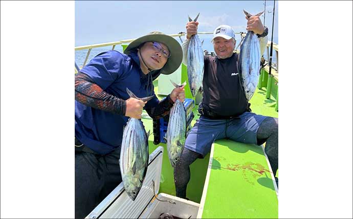 夏の相模湾でキハダマグロとカツオの季節！ コマセ釣り入門解説