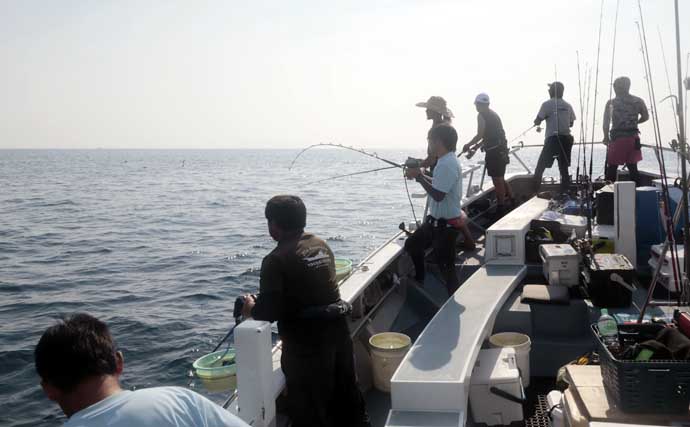 夏の相模湾でキハダマグロとカツオの季節！ コマセ釣り入門解説
