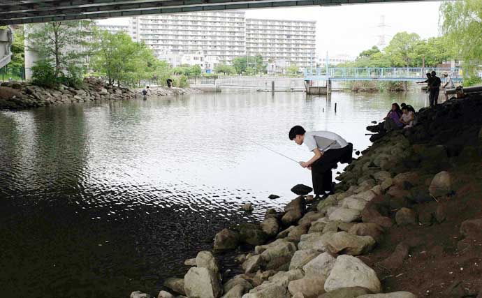 夕方に都心の公園でハゼ釣り堪能【新左近川親水公園】小型メインに入れ食い！