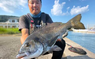 「55.5cm」巨大チヌが浮上！【鹿児島】指宿の岸壁ヘチ釣りで良型が続…