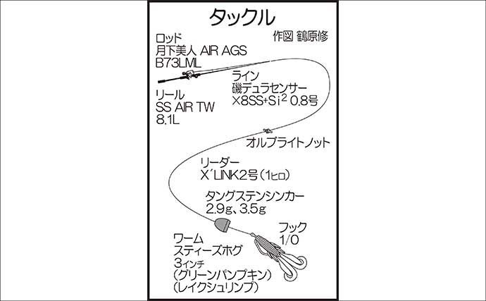 若松運河の遊歩道で28cmアラカブにタケノコメバルと対面【福岡】ベイトタックルで挑戦
