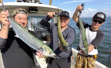 東京湾ルアーマゴチ便でサワラが好反応中！ 関東エリアの【船釣り特選釣果…