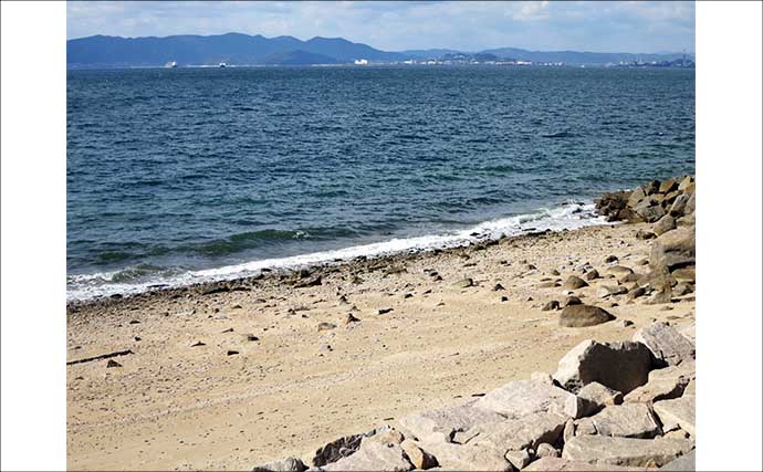 キューセンの投げ釣り攻略法を徹底解説　キス釣りタックルで楽しむ仕掛け＆釣り方