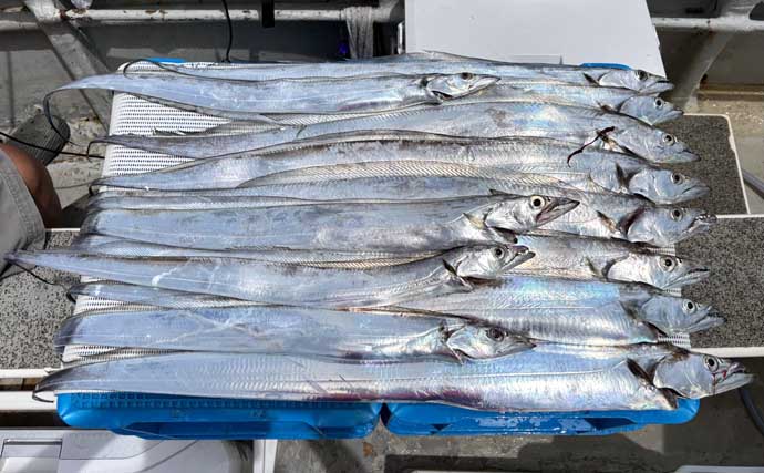 レンタルボートでのファミリーフィッシングで多彩魚種【船のエサ釣り最新情報7選・三重】