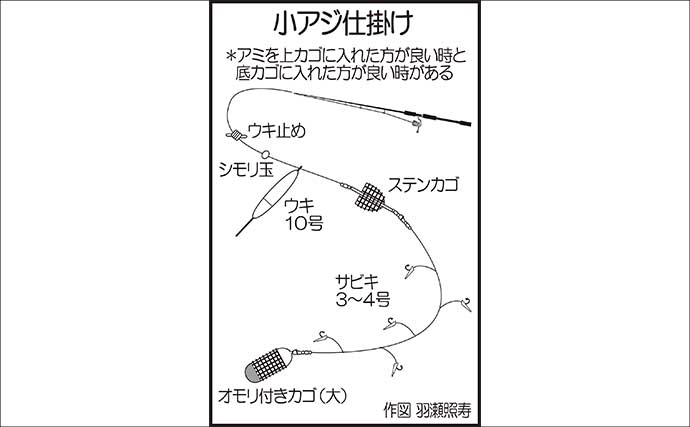 ￼漁港でのサビキ釣りで小アジ130匹手中【福岡】3時間の短時間釣行で満足釣果！