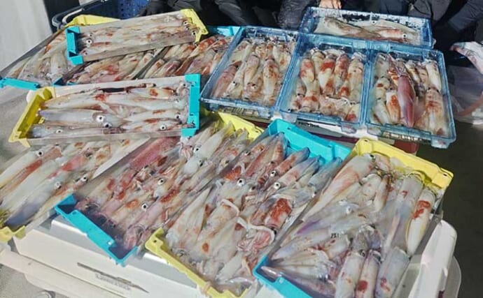 大型率高め！ヤリイカ爆釣継続中【夜焚きイカ最新釣果情報14選・福岡】