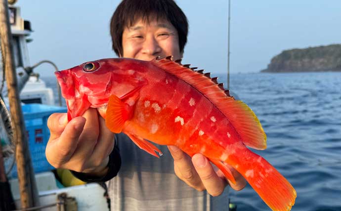 伊豆のロックフィッシュ船でアカハタ連発！【富戸】 ワインドで36cm良型＆まさかのヒラメも登場