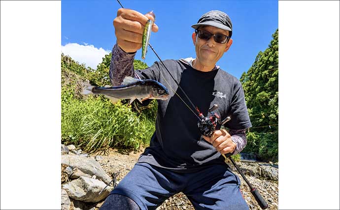 減水河川のアユイングで狙い的中！【京都】水深10cm未満の激浅ポイントでナワバリ鮎がヒット
