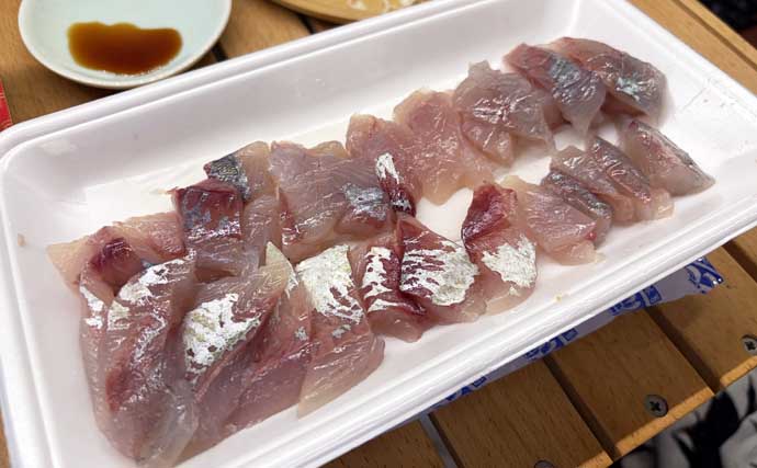 慣れないルアー釣りをしてみたらショゴが釣れた！ ダイソーのメタルジグにヒット