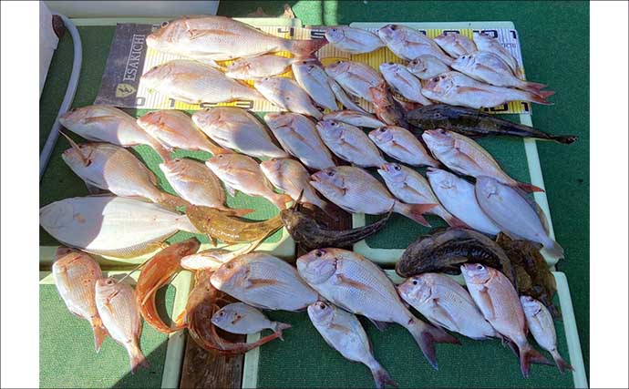 エビングで37.1kgメバチ（マグロ）が堂々浮上！【沖のルアー釣果速報10選・三重】