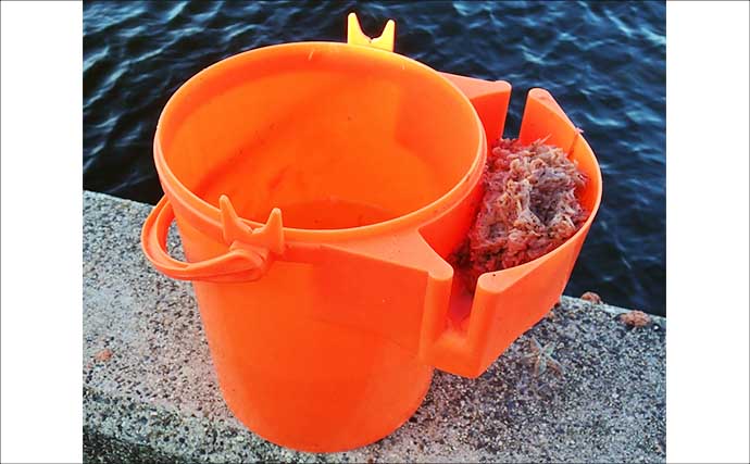まきエサなしでサッパが鈴なり【三重】堤防「ジグサビキ」釣りで入れ食いを満喫！