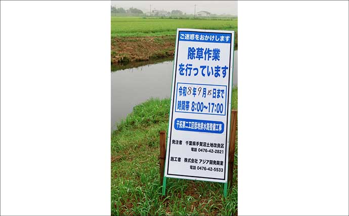 今週のヘラブナ「ピックアップ」釣り場2026【千葉・新木水路】