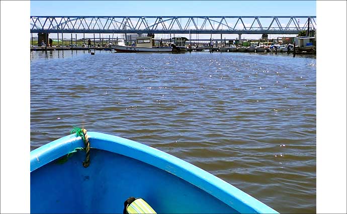 青潮直後の江戸川放水路でハゼ釣り【千葉】夫婦で100匹超え＆13.5cm良型も登場！