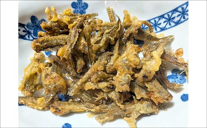 青潮直後の江戸川放水路でハゼ釣り【千葉】夫婦で100匹超え＆13.5cm良型も登場！
