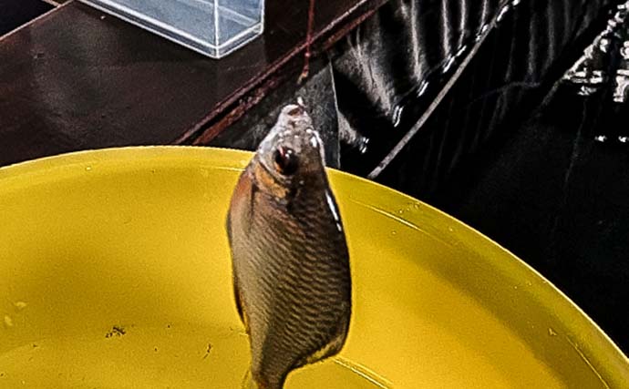 中1の甥っ子と屋内釣り堀で本気の釣果勝負！ 結果はまさかの「43対47」で叔父敗北