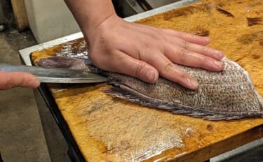 夏に釣った魚は要注意！ 食中毒を防ぐために釣り場＆キッチンで実践したい衛生対策