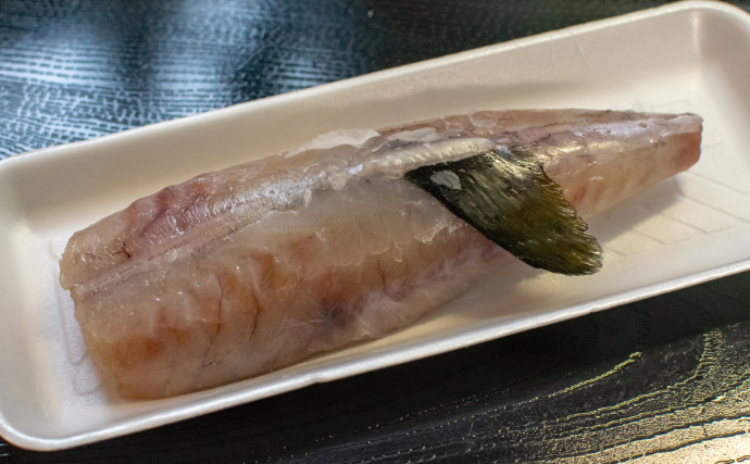 北海道の羅臼でフグが記録的豊漁！ 高級魚が獲れているのに儲からない意外な理由とは？