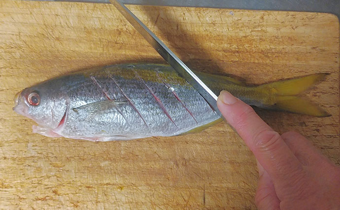 釣りの「ゲスト魚」で作るレシピ：タカベの一夜干し　冷蔵庫で干せばOK！