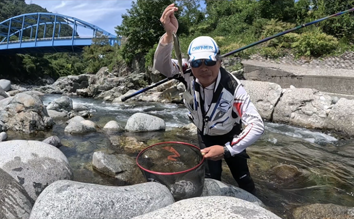 高原川のアユトモ釣りで24.4cm頭に鮎92匹と爆釣！【岐阜】アブには要注意？