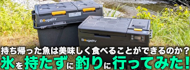 釣りに氷を持っていかないとどうなる？　ポータブル冷蔵庫だけで魚を持ち帰ってみた