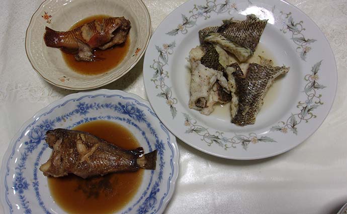 エサ取りとは明らかに違う！ チヌ落とし込み釣りで「一際違うアタリ」を捉え37cm本命手中