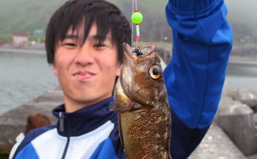 日本最北の有人離島で釣りをしたら「ガヤ」が入れ食いに！【北海道・礼文島…