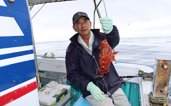 船カサゴ釣りで56尾【釣友丸・茨城】根掛かり恐れず底を攻める姿勢が釣果アップの秘訣！