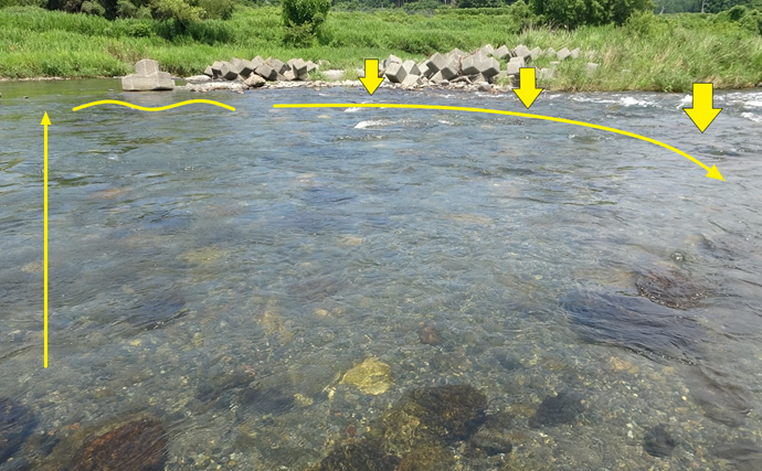 アユルアー釣行で40匹の爆釣！【滋賀】 好釣果を支えたロングロッドの威力とは？