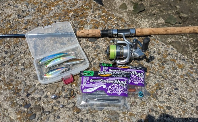 釣りに氷を持っていかないとどうなる？　ポータブル冷蔵庫だけで魚を持ち帰ってみた