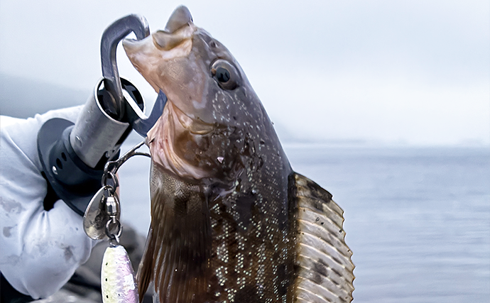 日本最北の有人離島で釣りをしたら「ガヤ」が入れ食いに！【北海道・礼文島】納竿間際には良型アイナメも登場