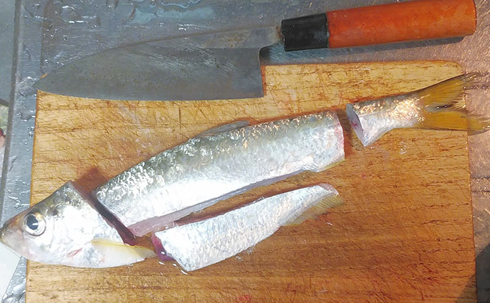 釣魚で作る「免疫力アップ」レシピ：ヒラのなめろう　ショウガとネギを効かせて