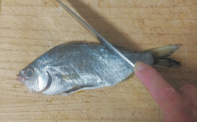 釣ったゲスト魚で作る「簡単」レシピ：クロサギの白焼き　ポン酢と相性◎